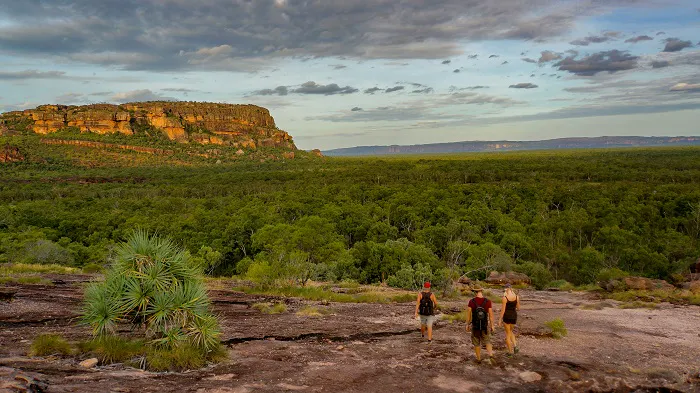 A group of people standing on a rocky cliff overlooking a forest.