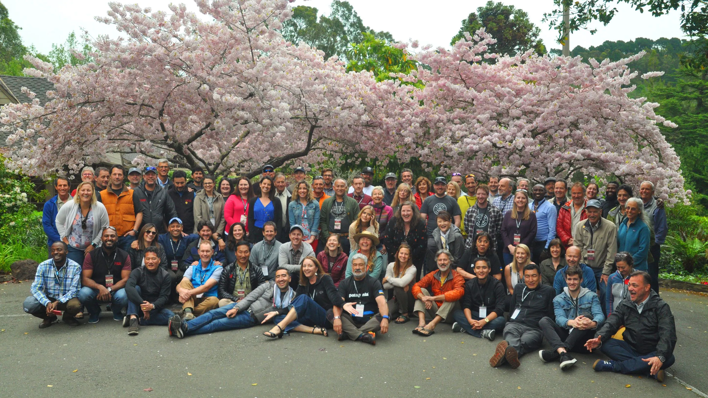 A group of people posing in front of a tree.