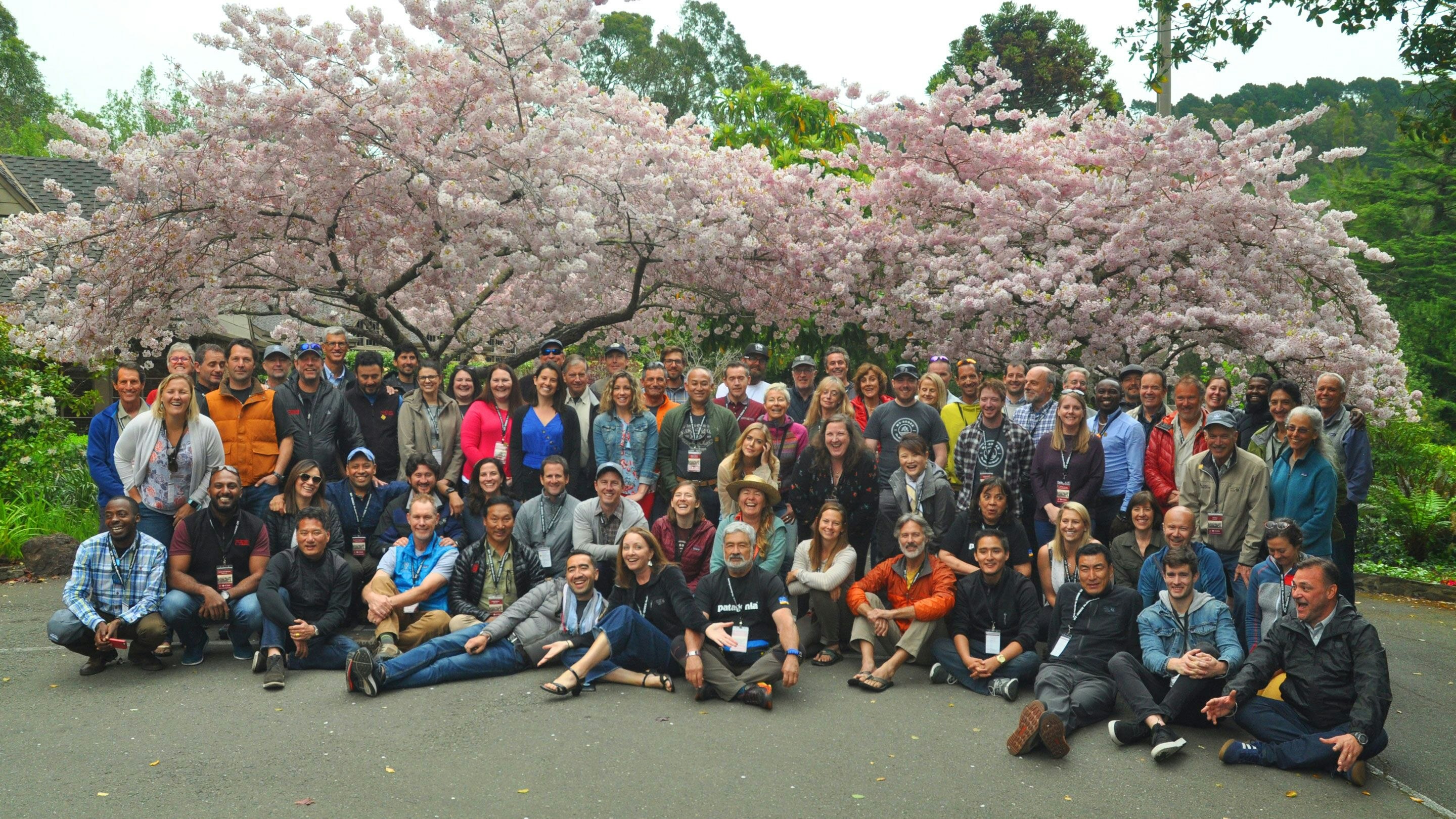 A group of people posing in front of a tree.