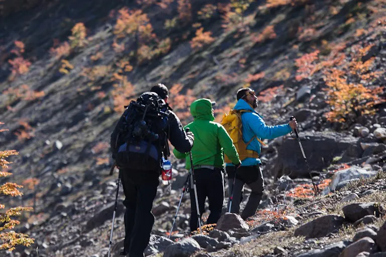A group of people on a hiking trip.