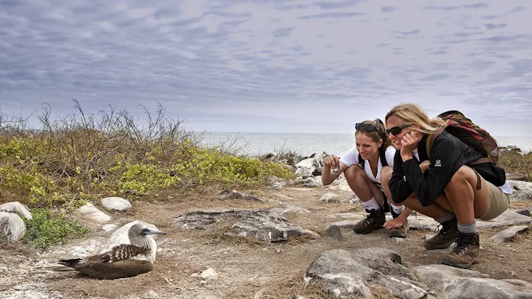 Two women looking at a bird on the beach.