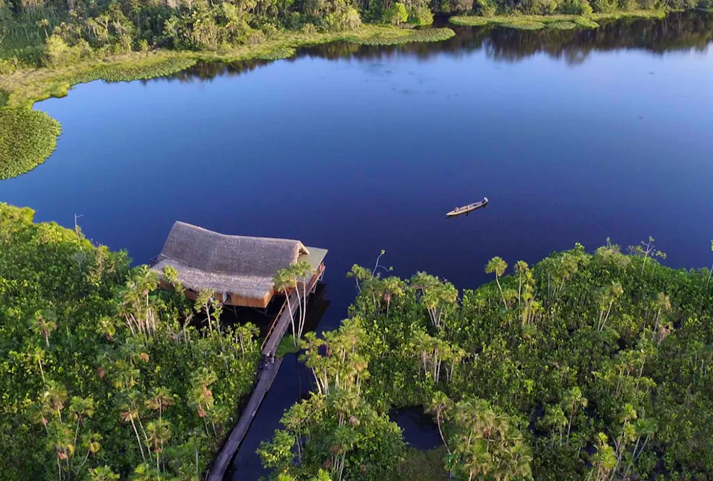 An aerial view of a hut on a lake in the jungle.