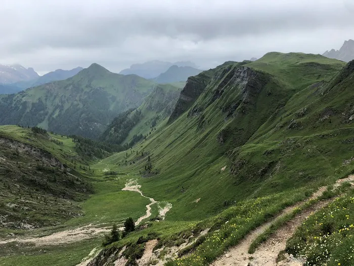 A trail in the mountains with green grass and flowers.