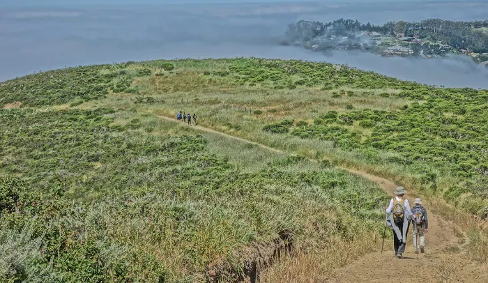 A group of people hiking on a trail in the fog.