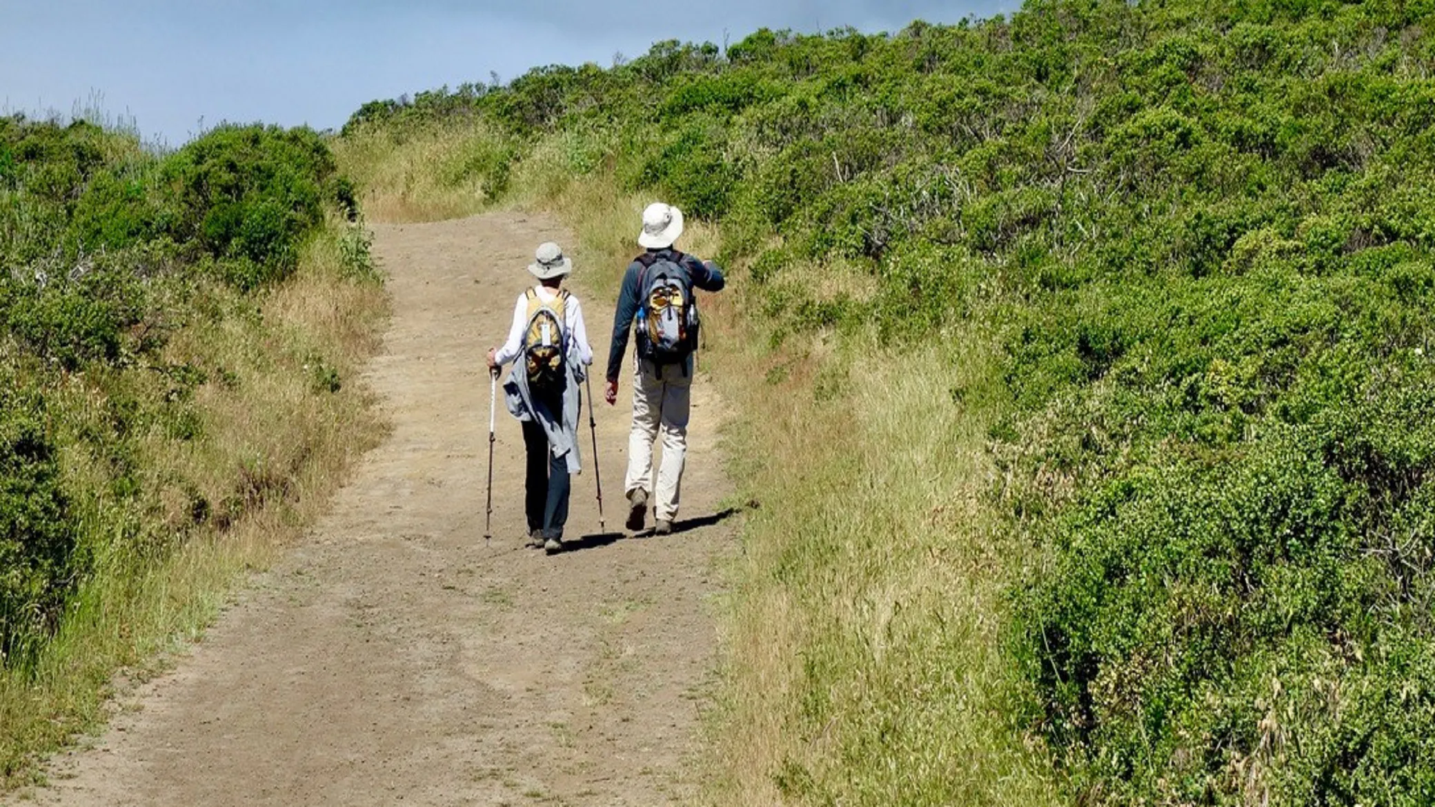 Two people walking down a trail in a grassy area.