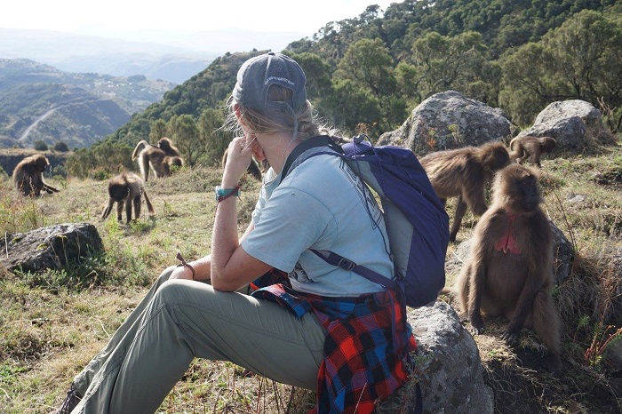 A Rare Look at the Ethiopian Gelada Monkey | MT Sobek