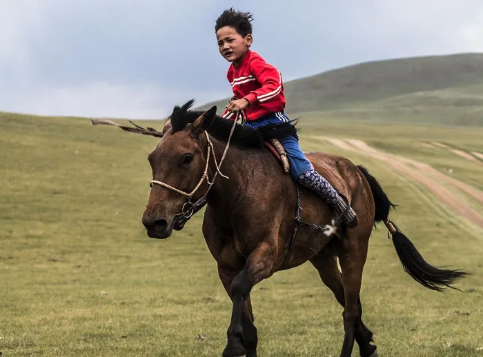 A young boy riding a horse in a grassy field.