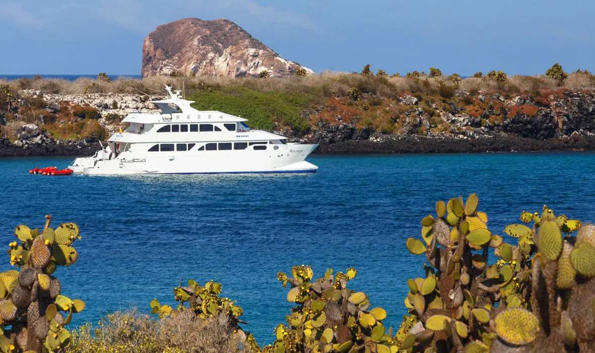 A white boat is sailing in the water near a cactus.