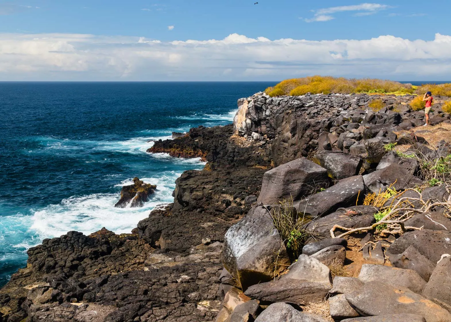 Explore the rocky cliffs of the Galapagos Islands.