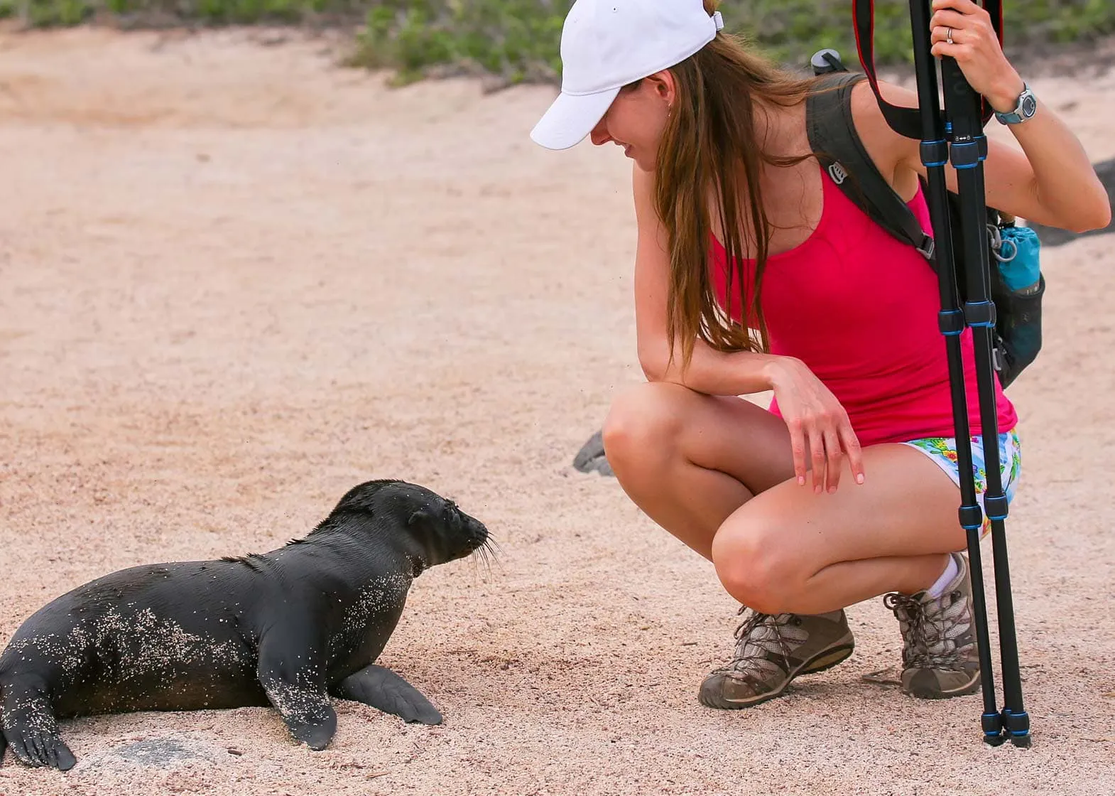 A woman is petting a sea lion while exploring the Galapagos Islands.