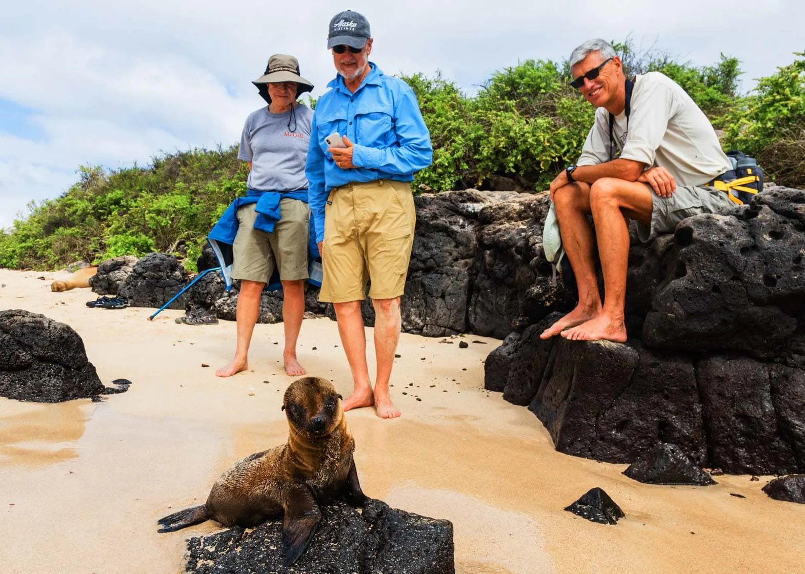 Explore Galapagos Islands with sea lions.