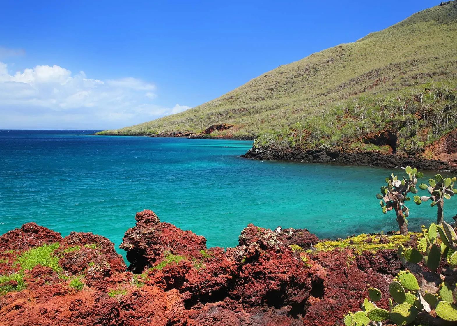 Explore the Galapagos Islands, known for its red cliffs and blue waters populated by cactus plants.