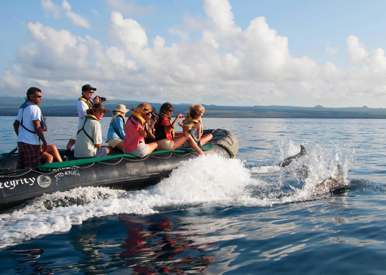 Integrity Adventure Tours offering dolphin watching experience on a boat.