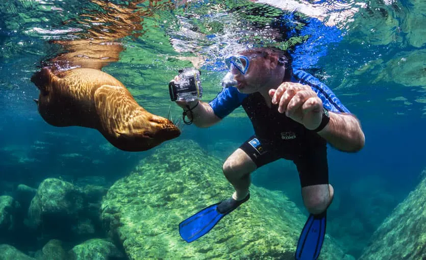 A man snorks with a sea lion in the water.