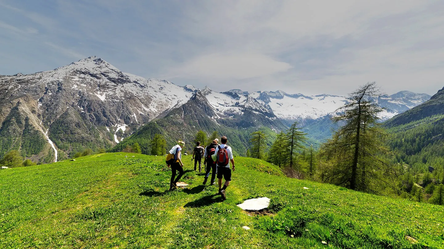 A group of hikers standing on a grassy hill in the Alps.