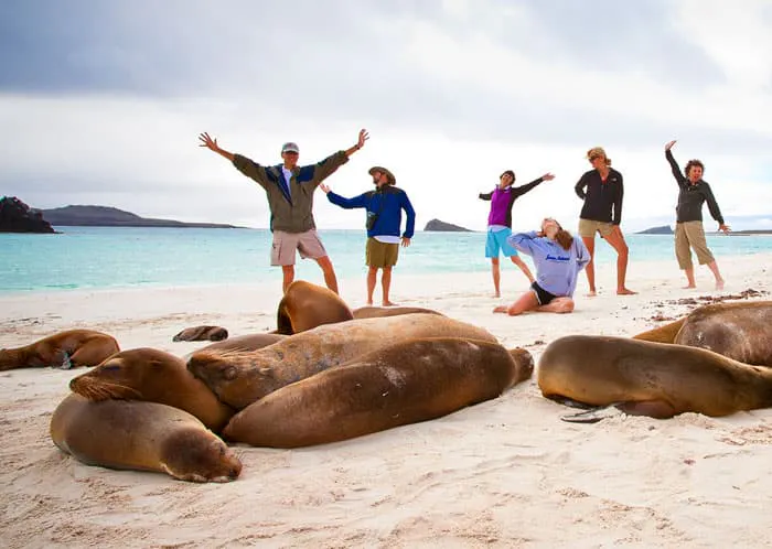 A group of people posing with sea lions on the beach in front of delighted guests.