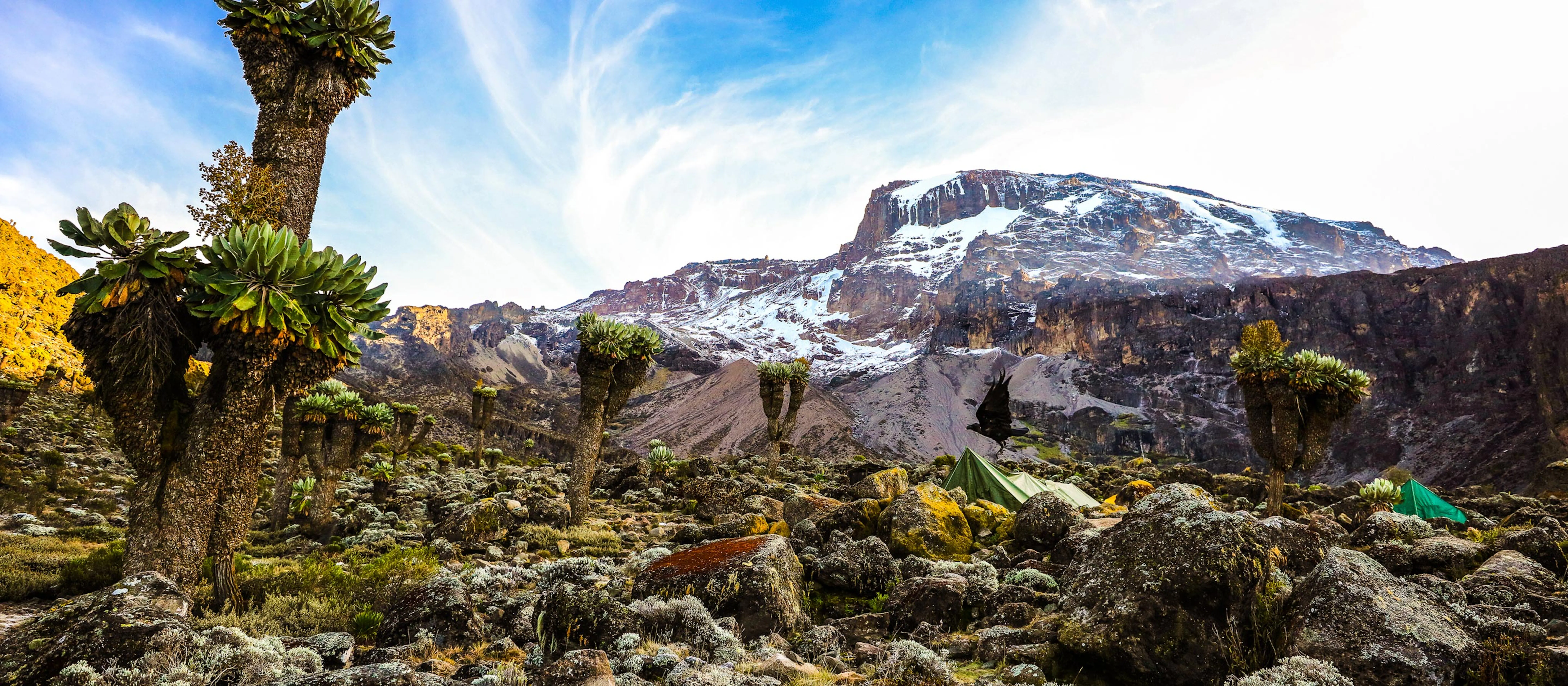 landscape of the rugged terrain of Mount Kilimanjaro in Africa