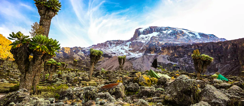 landscape of the rugged terrain of Mount Kilimanjaro in Africa