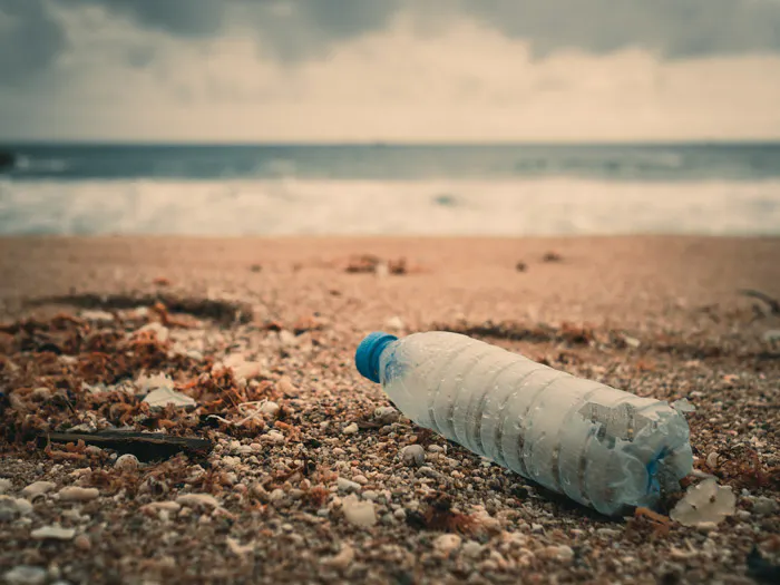 A sustainable travel experience showcasing a plastic bottle discarded on the sandy shoreline.
