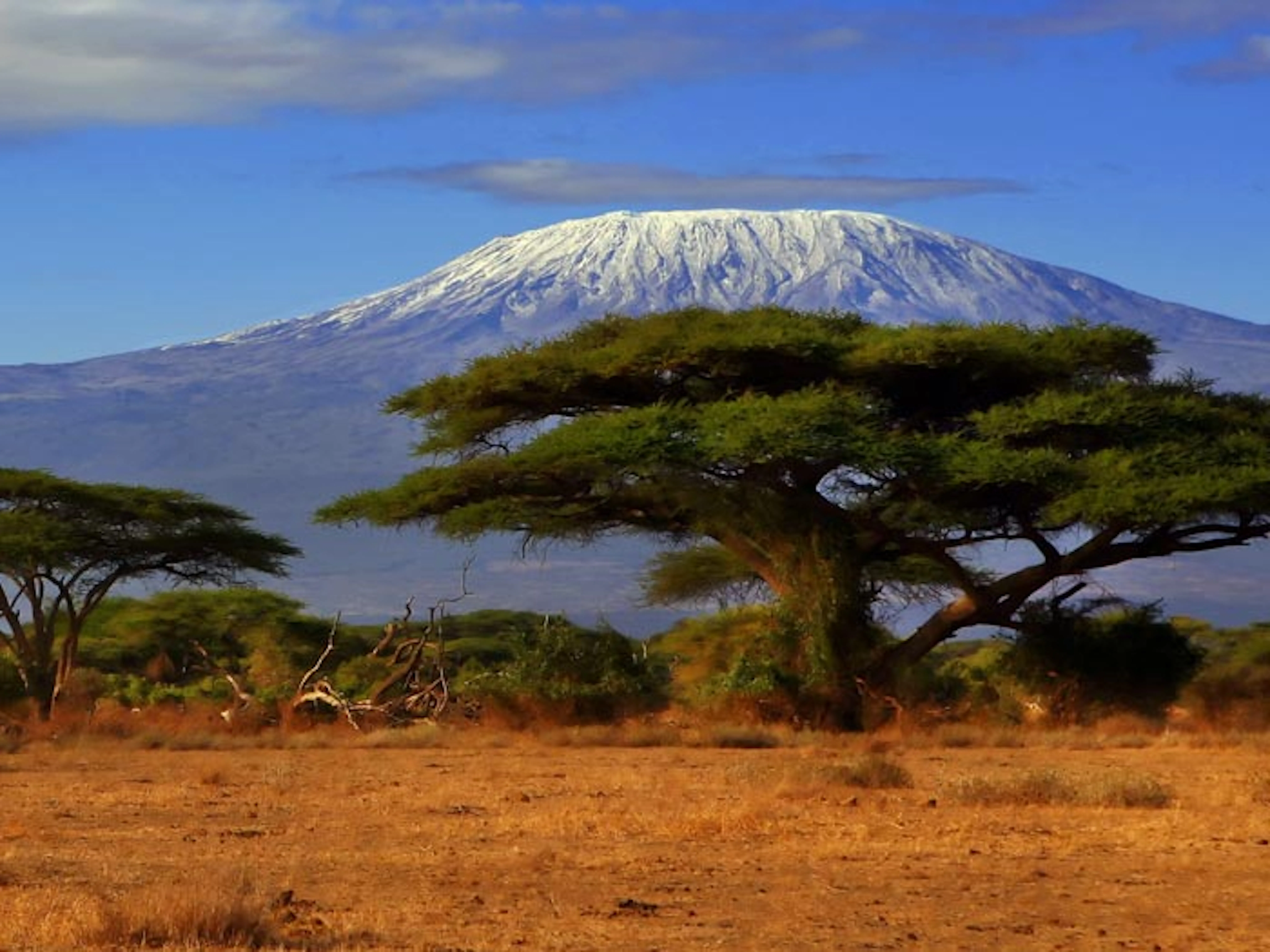 Kilimanjaro Climb