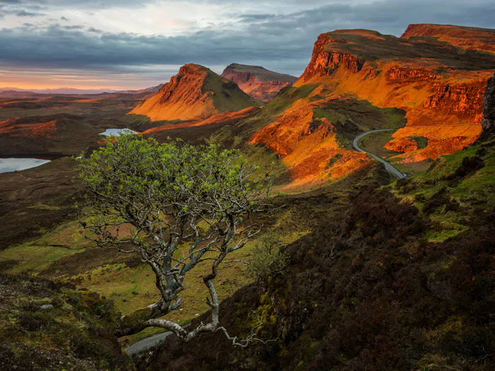 A sustainable travel destination in Scotland featuring a lone tree on the edge of a mountain.