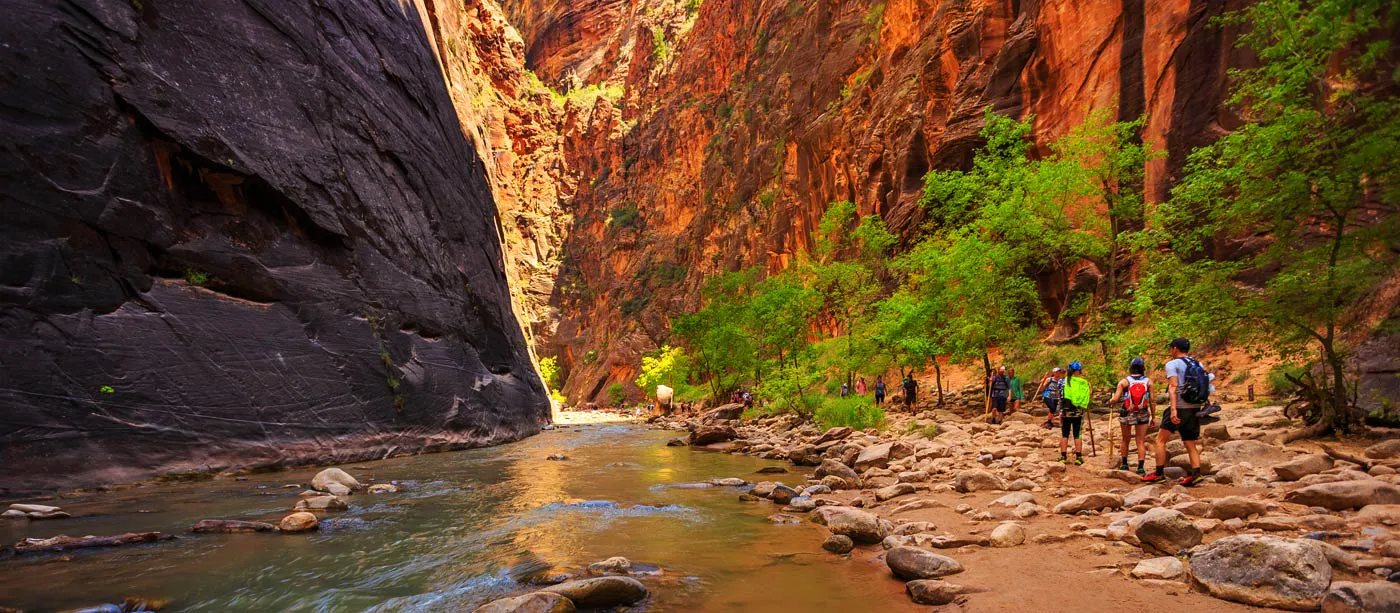 A group of custom travelers exploring the narrows in Zion National Park.