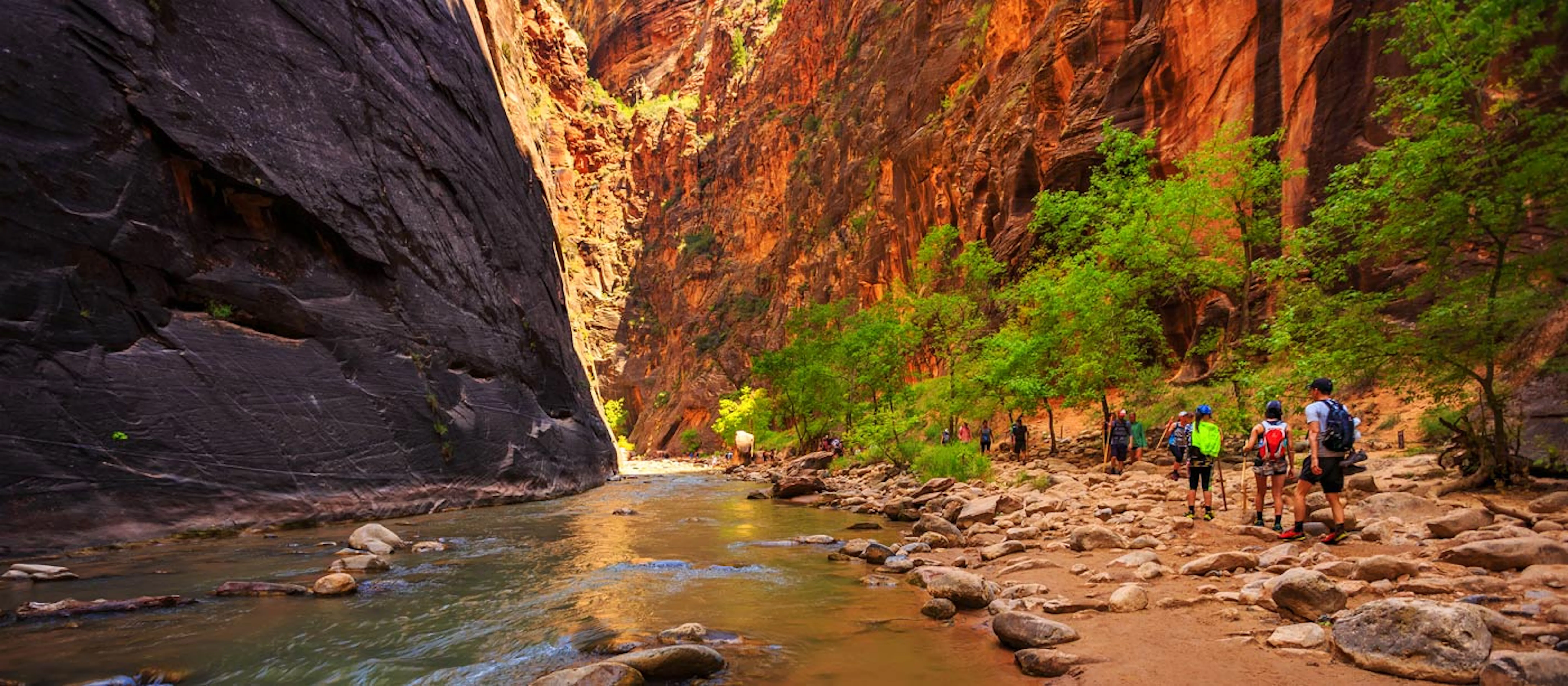 A group of custom travelers exploring the narrows in Zion National Park.