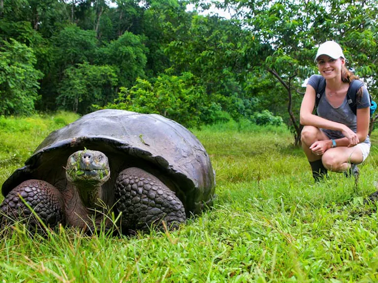 Traveler watching the giant Galapagos tortoise on the Galapagos Islands