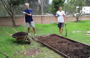 Two men standing next to a wheelbarrow in a garden.