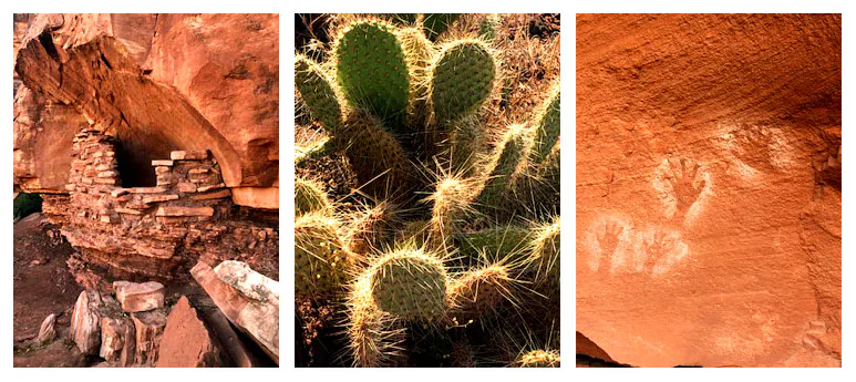 Puebloan Granary, Prickly Pear Cactus, Rock Markings, Cataract Canyon, Utah