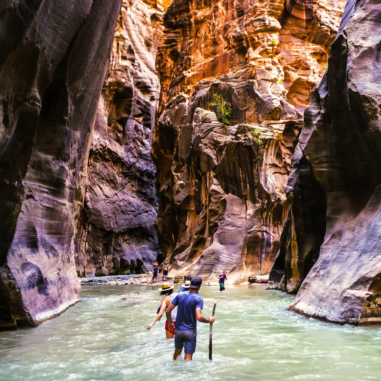 Custom travel, Zion National Park