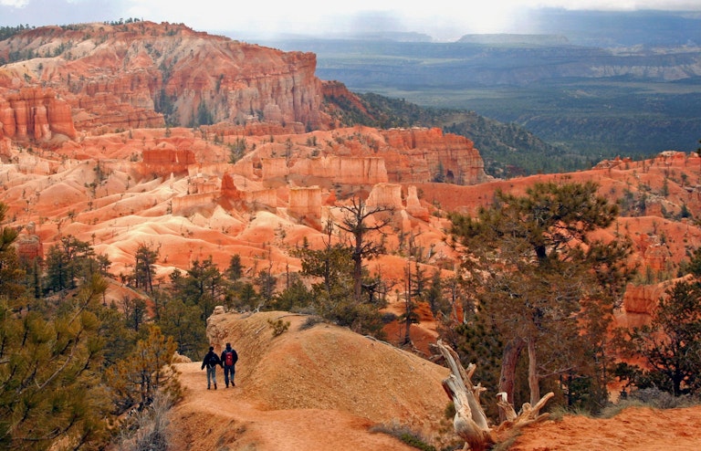 Trekking the golden hills of the Mighty 5 National Parks