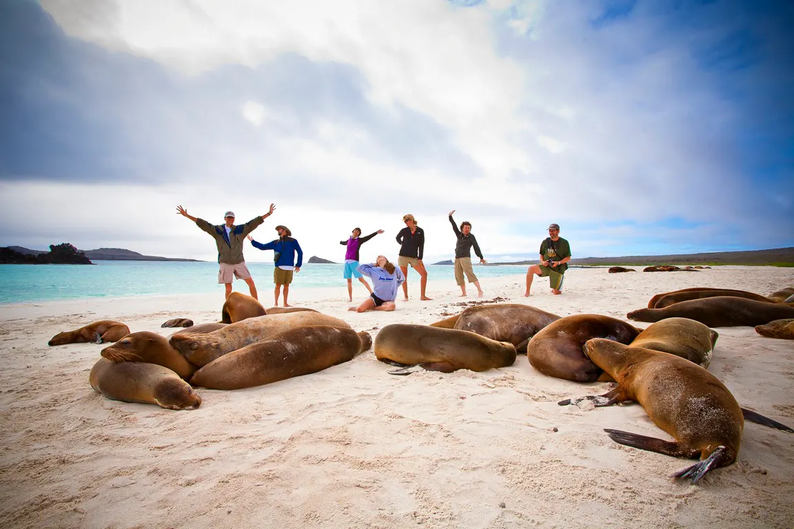 A group of people posing with sea lions on a beach.