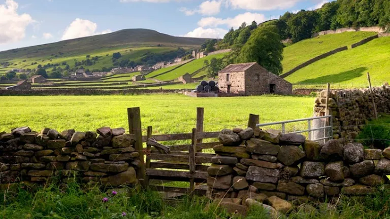 A top hike through a green field with a stone wall.