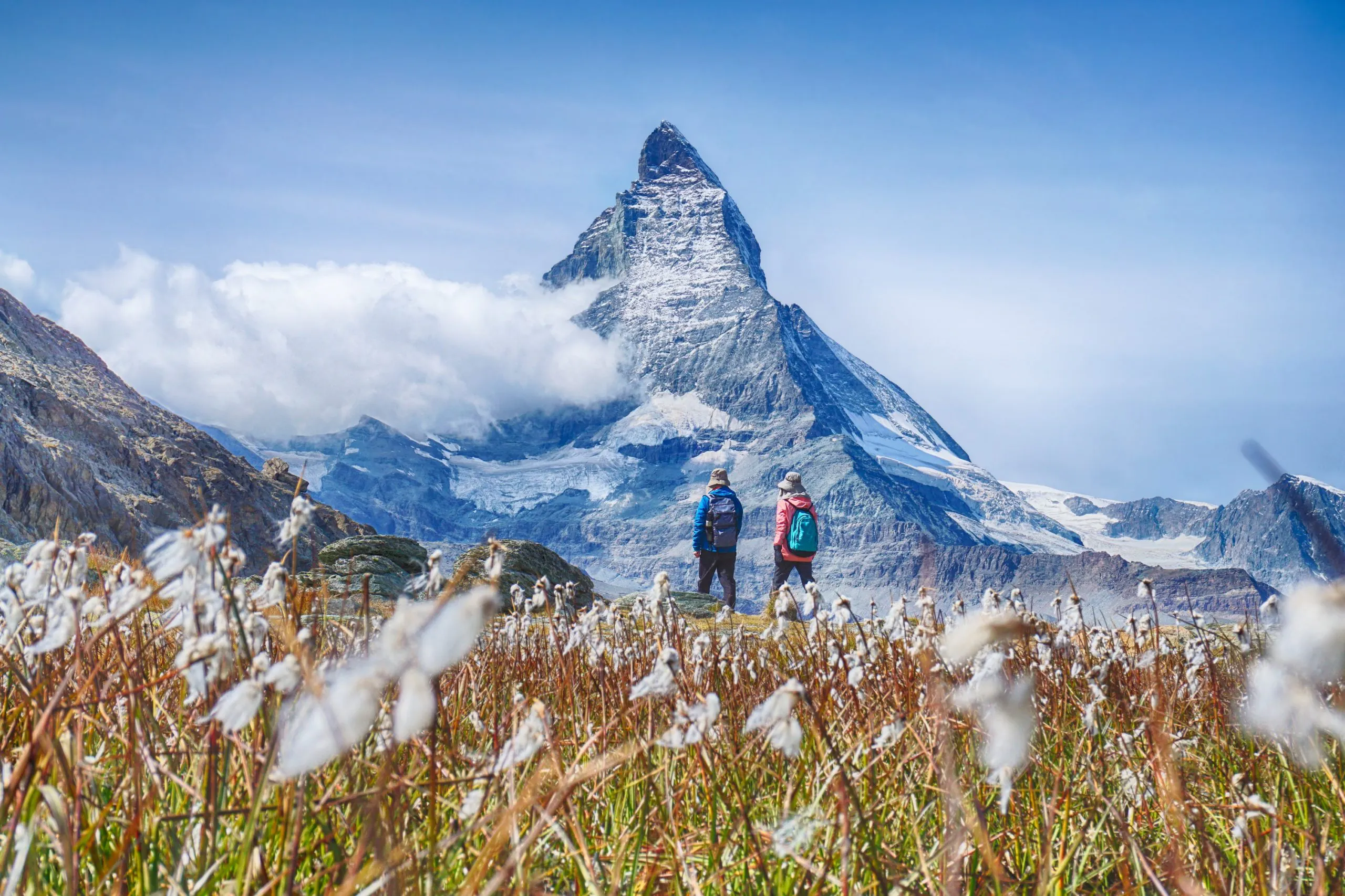 Hiking in the swiss alps with flower field and the Matterhorn peak in the background.