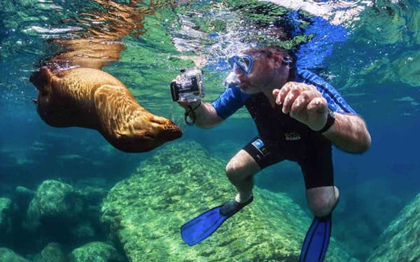 Snorkeler exploring the waters of the Galapagos Islands