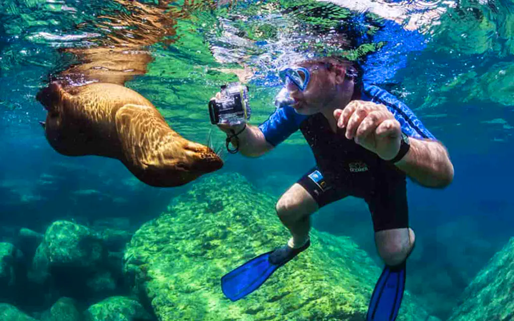 Snorkeler exploring the waters of the Galapagos Islands