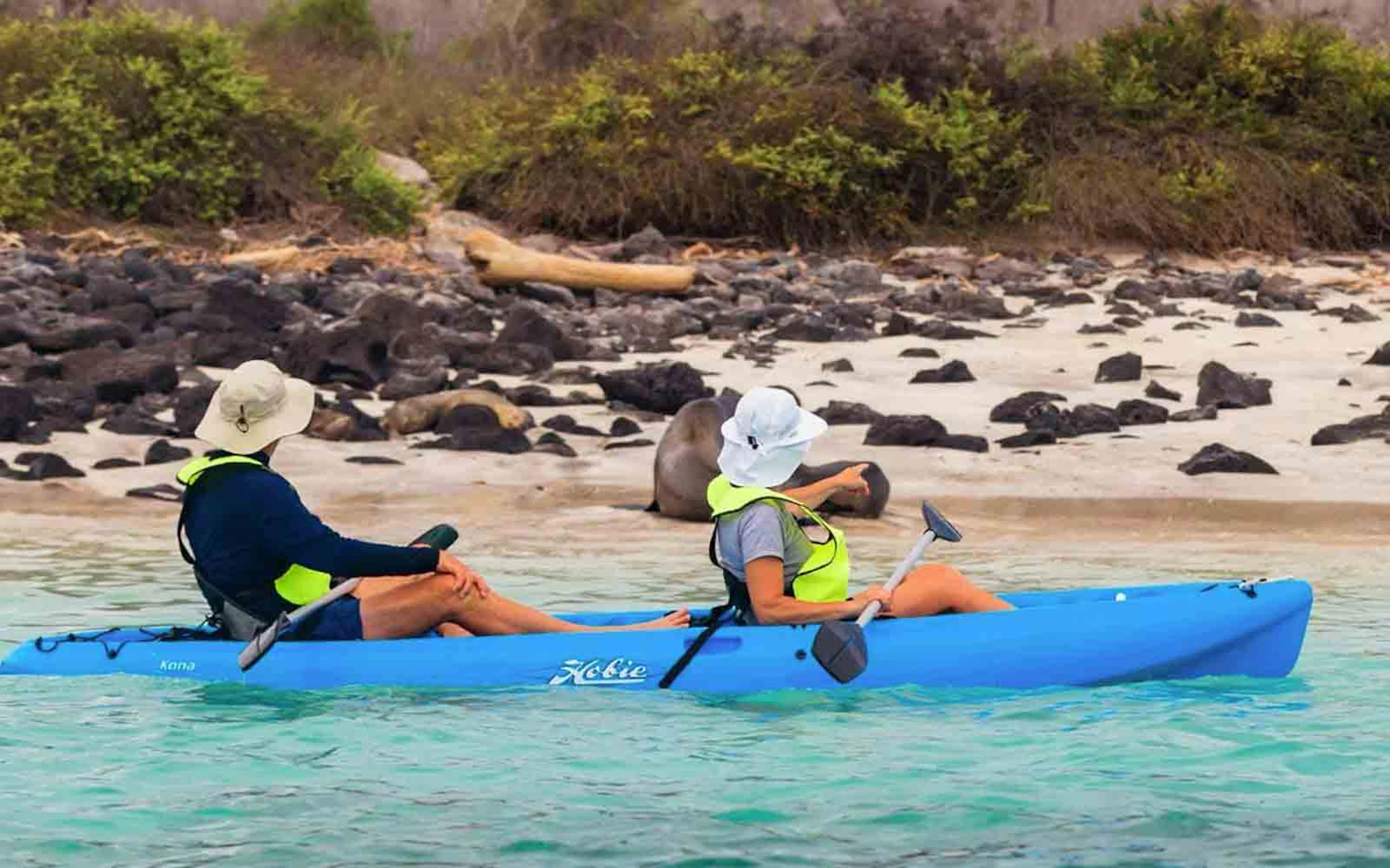 Two people in a blue kayak on the water.