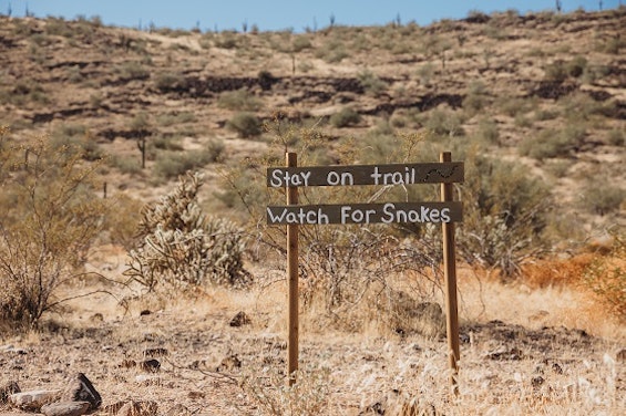 Snakes On A Trail: Everything You Need To Know