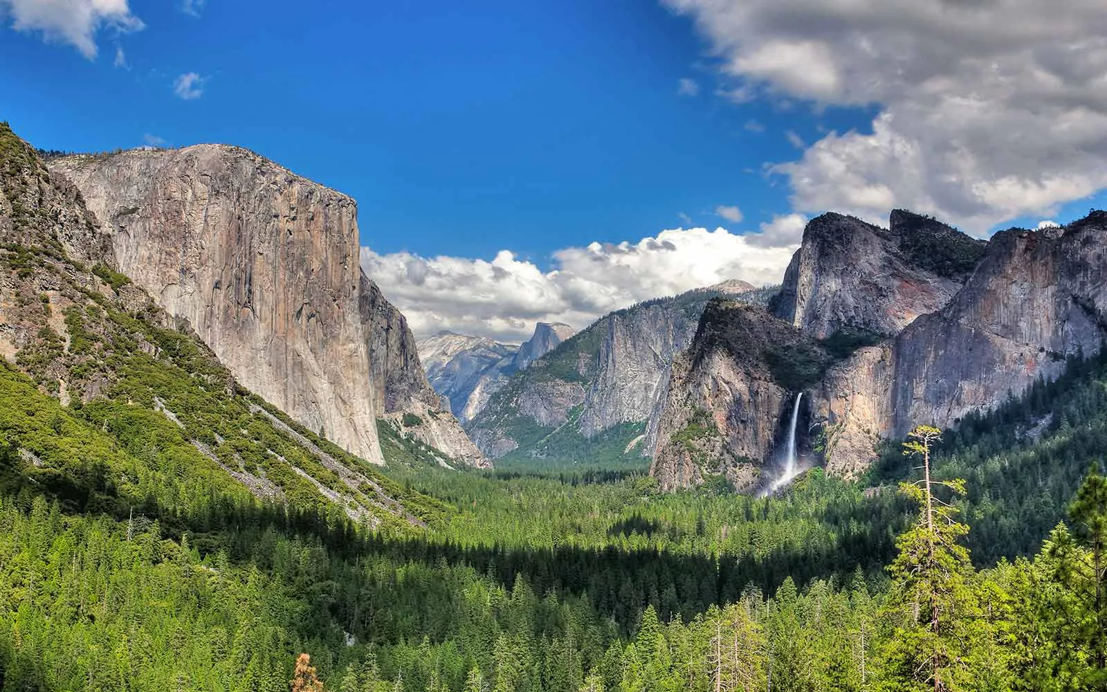 Yosemite national park in california.