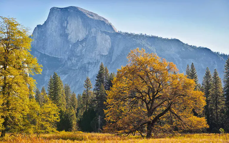 Meadow on the John Muir Trail Northbound. 