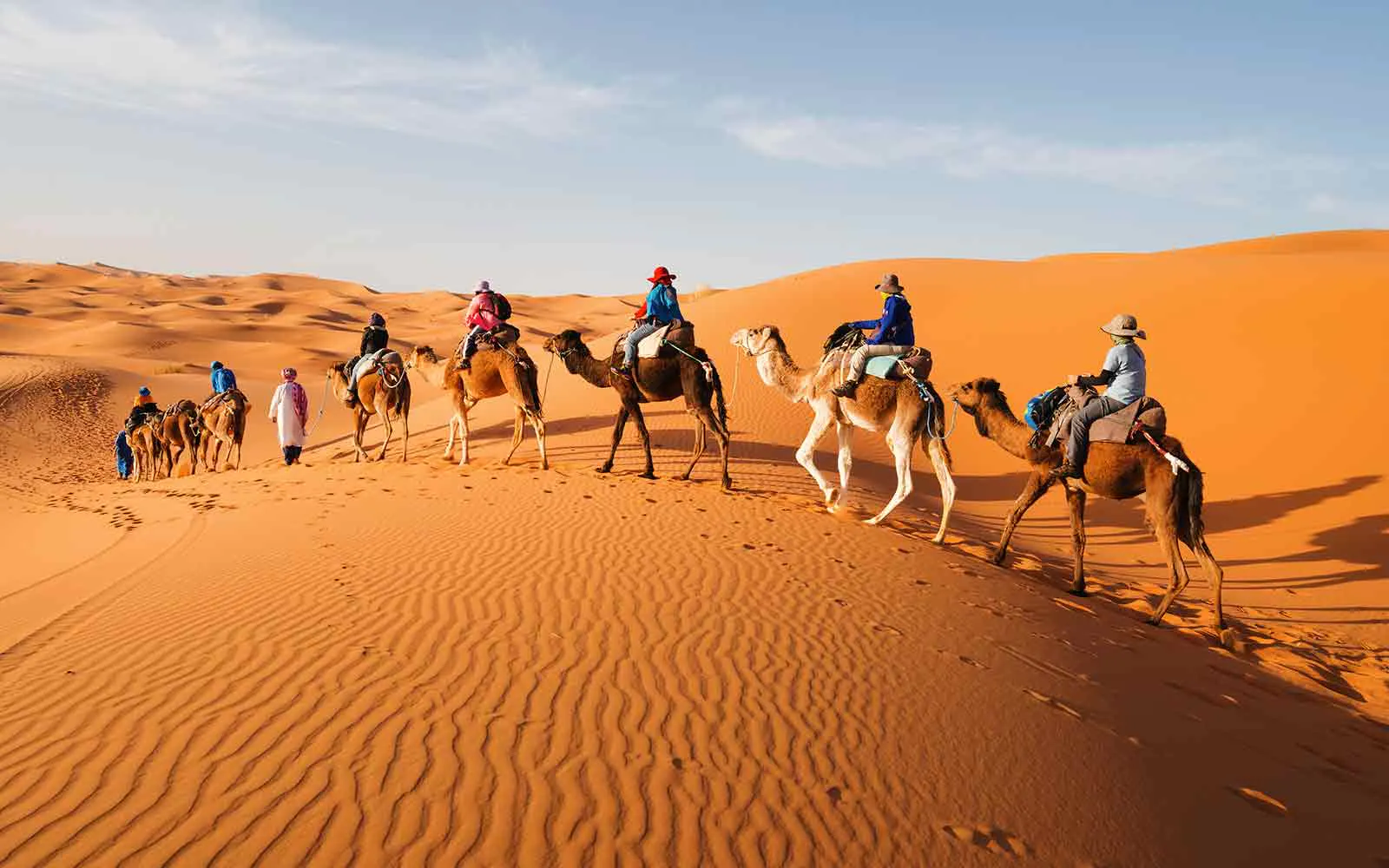 A group of people riding camels in the sahara desert.
