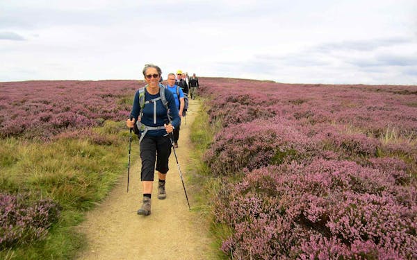A group of people on an adventure tour, hiking through a field of purple flowers in Europe.