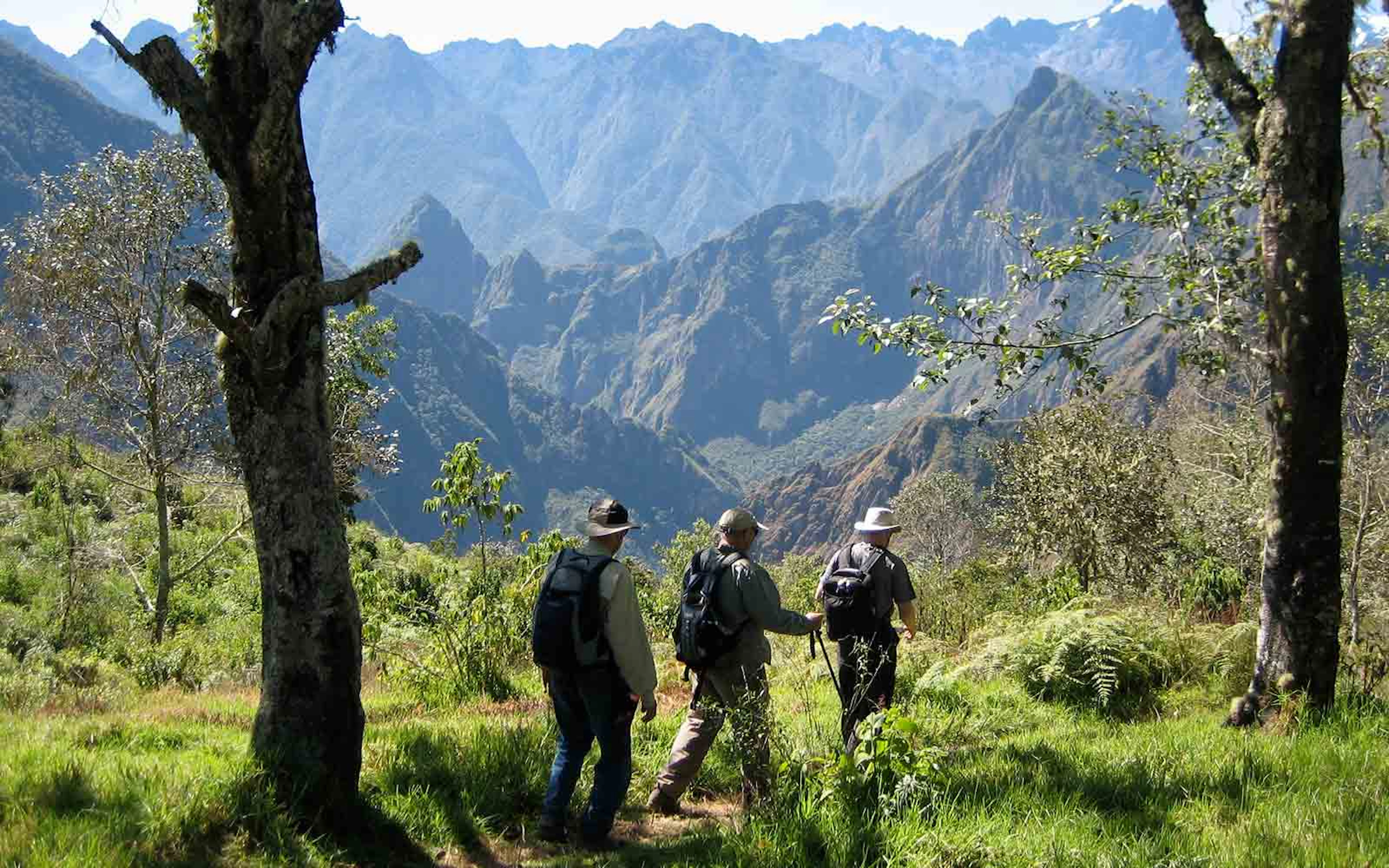 A group of hikers on a trail in the mountains.