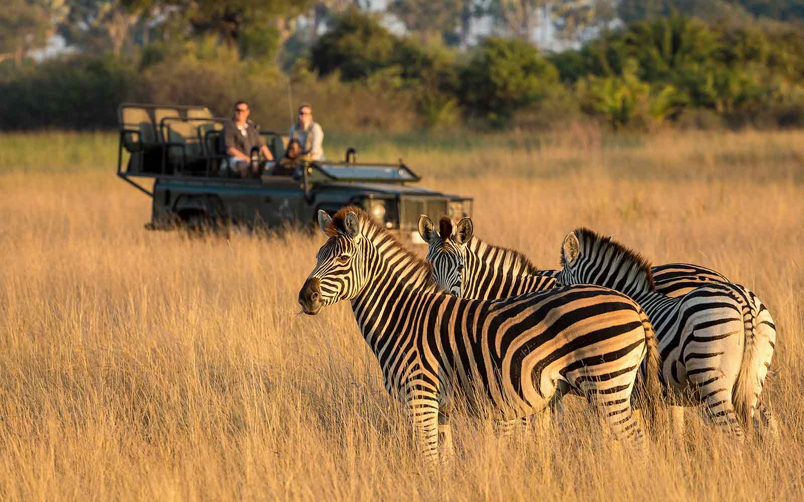 Travel - Wildlife Tours and Nature Trips