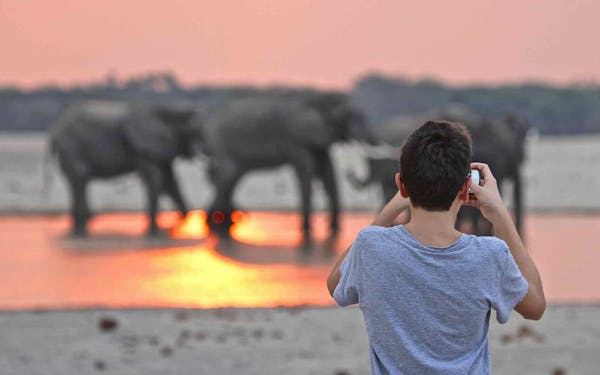 A boy capturing breathtaking pictures of elephants on a wildlife safari.