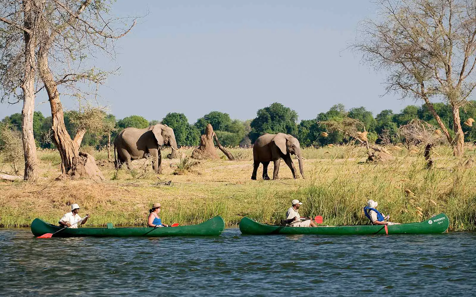 Experience an unforgettable canoe safari through the stunning landscapes of Zambia, where you'll have the incredible opportunity to encounter elephants up close. Embark on this unique wildlife adventure and immerse yourself in the