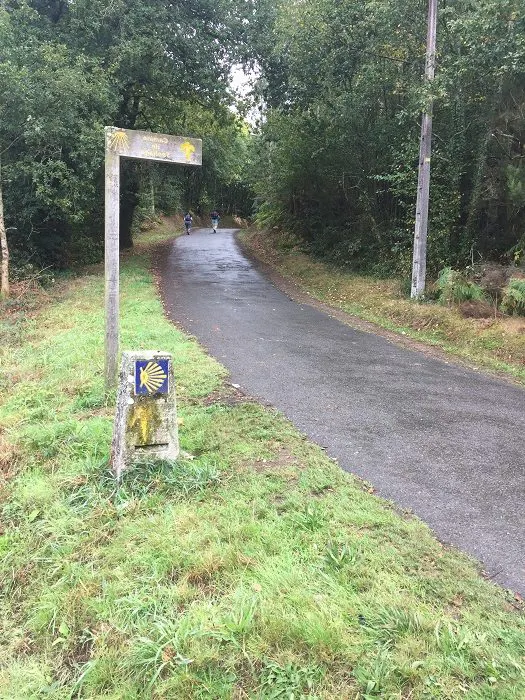 A sign on the side of a road in the woods.