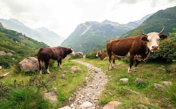 10 Best Hikes in Switzerland