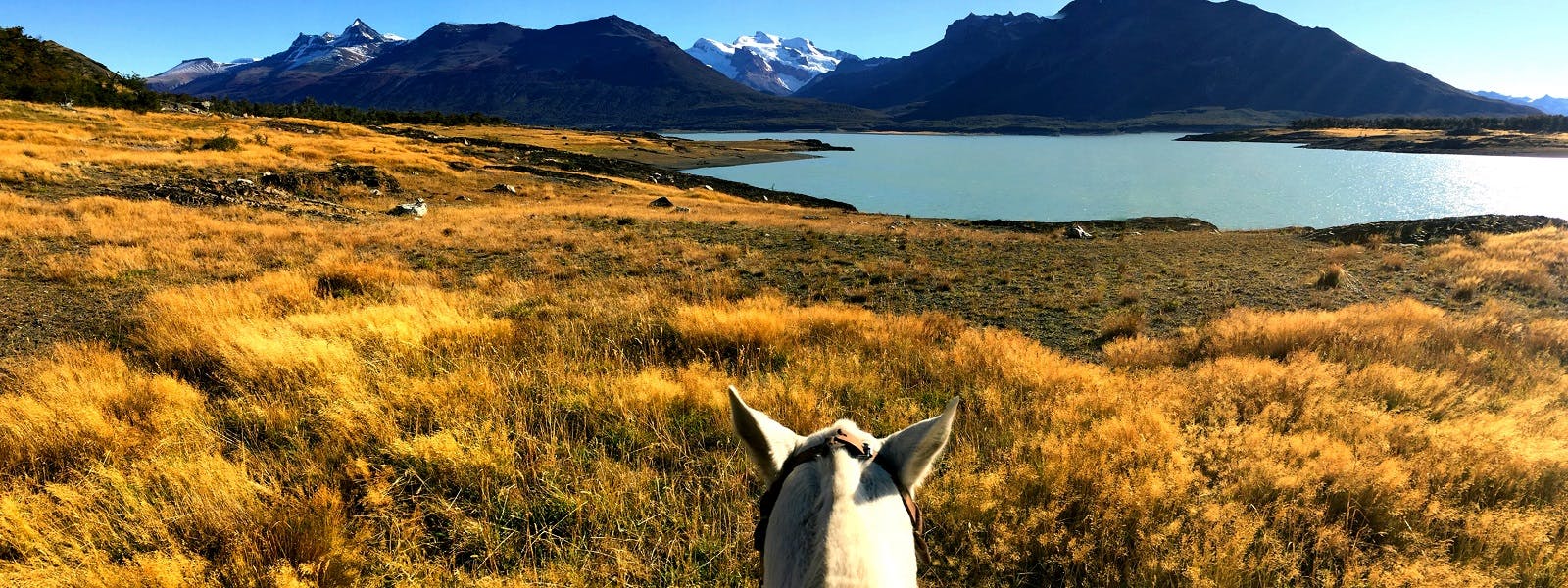 Horse and mountains in Argentina's Lake District